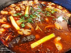 -鸿顺老铁锅美蛙鱼府(解放碑店)