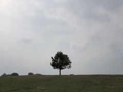 -钟山体育运动公园