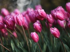 -无锡新湖铂尔曼大酒店