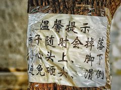 -北京石刻艺术博物馆(五塔寺)