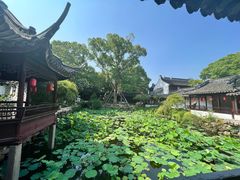 -上海醉白池公园