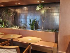 -奈雪的茶(大梅沙8号仓店)