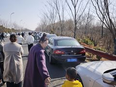 -盐城丹顶鹤湿地生态旅游区