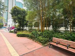 -九龙公园