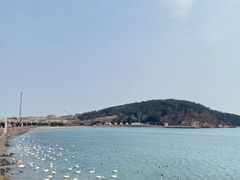 -烟墩角天鹅湖