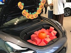 -TESLA 特斯拉(上海太古汇体验店)