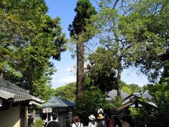 -豆政(金閣寺境内売店)