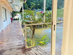 -芭厘农庄老字号·清远鸡