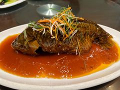 -津菜宋记老房子(鼓楼店)
