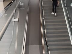 -Apple 零售店(Canton Road)