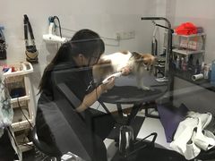 -Oh My Dog宠物沙龙(伊珊娜皮毛护理店)