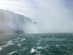 -尼亚加拉瀑布州立公园