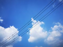 -嘉北郊野公园