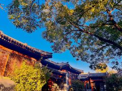 -北京鲁迅博物馆(北京新文化运动纪念馆鲁博馆区)