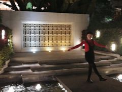 -白天鹅宾馆-健身中心