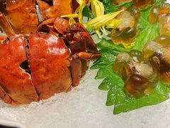 枸杞菊花醉六月黄-蟹榭·本帮江浙菜·蟹宴(五角场合生汇商场店)