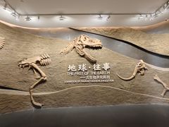 -柳州白莲洞洞穴科学博物馆
