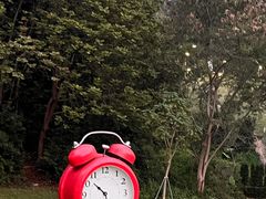 -光明刘冰乳鸽店(光明法政北路店)