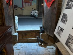 -甲乙丁書店·书茶咖·四合院