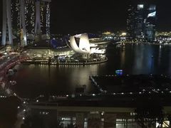 -新加坡丽思卡尔顿美年酒店