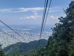 -神户市立六甲山牧场