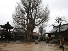 -医王山·飞騨国分寺