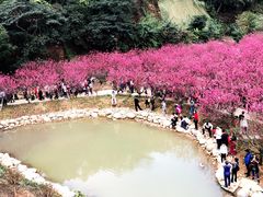 -亮庆餐厅·粤菜·早茶(篁庄店)