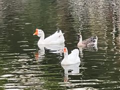 -新合益乡村农庄