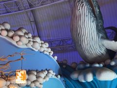 -烟台海昌鲸鲨海洋公园