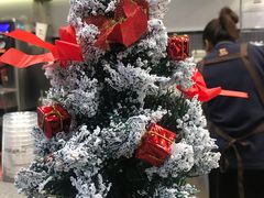 -TPLUS茶家(浦电路店)