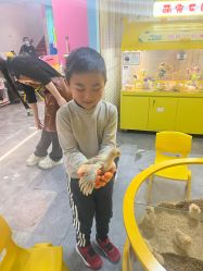 -神奇动物撸宠馆·羊驼·小浣熊·异宠(豫园店)