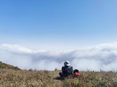 -白草畔自然风景区