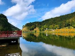 -广州市石门国家森林公园