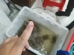 -新农都水产市场