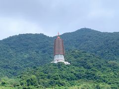-深圳仙湖植物园