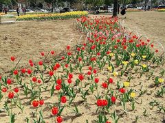 -江南大学(蠡湖校区)