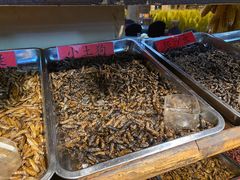 -昆虫窝子·特色云南菜(拓东路总店)