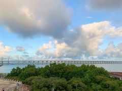 -宝安西湾红树林湿地公园