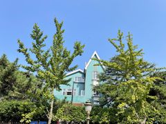-八大关景区