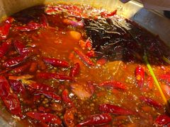 -小龙坎火锅(春熙太古里店)