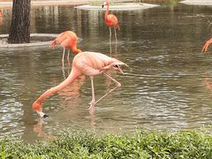 -石家庄市动物园