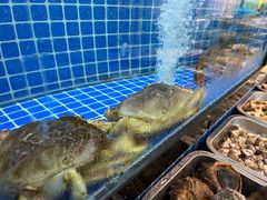 -碧海银沙海鲜餐厅(恒大海上威尼斯店)