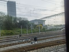 -四川大学(华西校区)