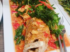 石斑鱼-建兴酒家(萨木亚店)