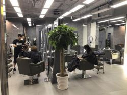 -INS羽毛接发·巴黎画染