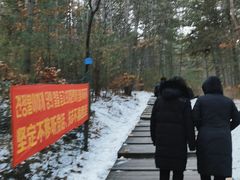 -帽儿山国家森林公园