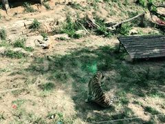 -大连森林动物园