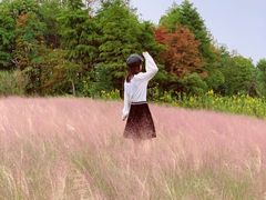 -杭州湾海上花田景区