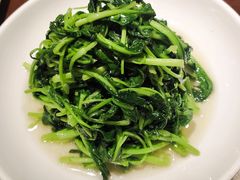 -九朝会昆曲·宴(望京店)