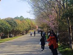 -南京市江宁方山